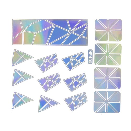NF409holo.jpg