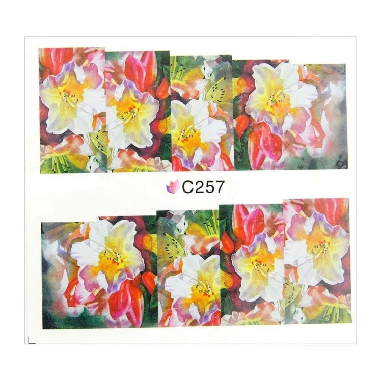 Bez-nazwy-2.jpg