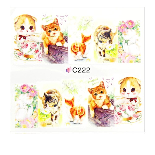 C222.jpg