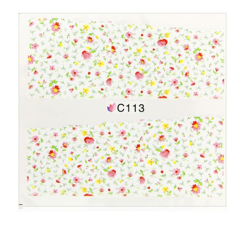 C113.jpg