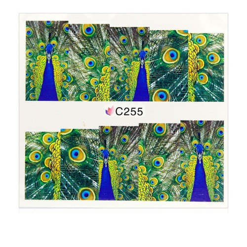 C255.jpg