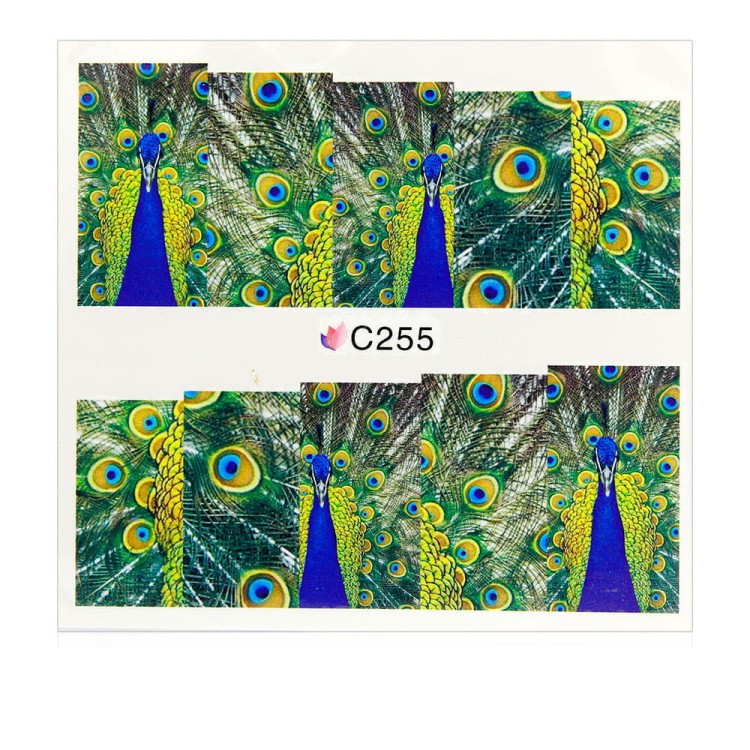 C255.jpg