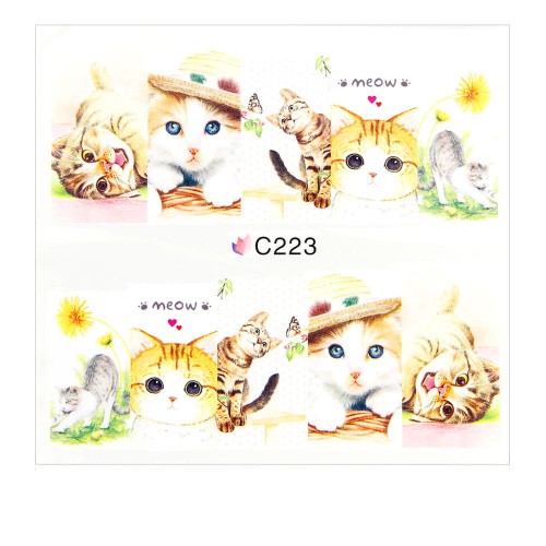 C223.jpg