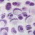 102-folia-transferowa-100-cm.jpg