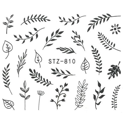stz810.jpg