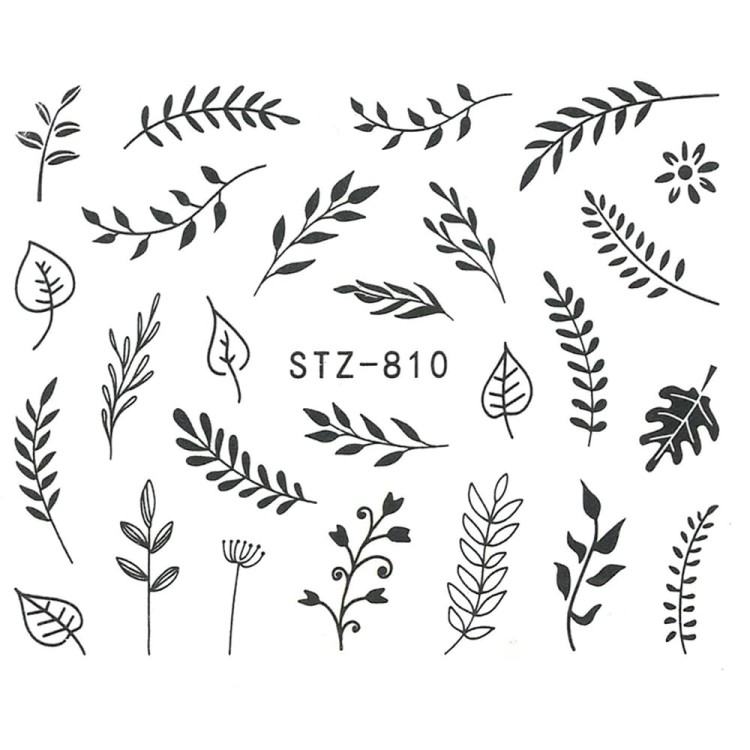 stz810.jpg