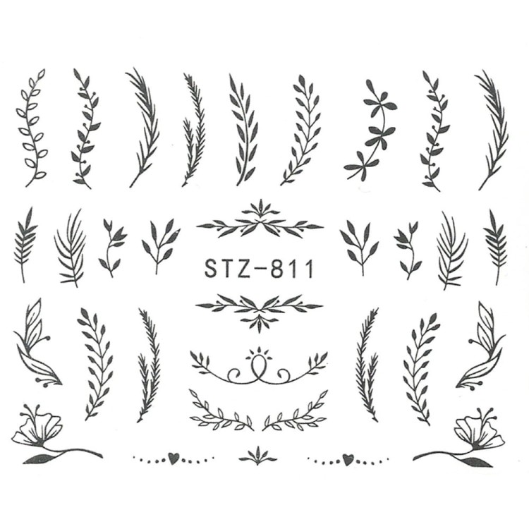 stz811.jpg