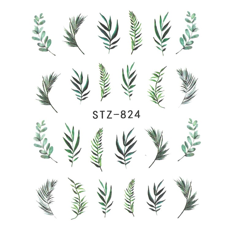 stz824.jpg