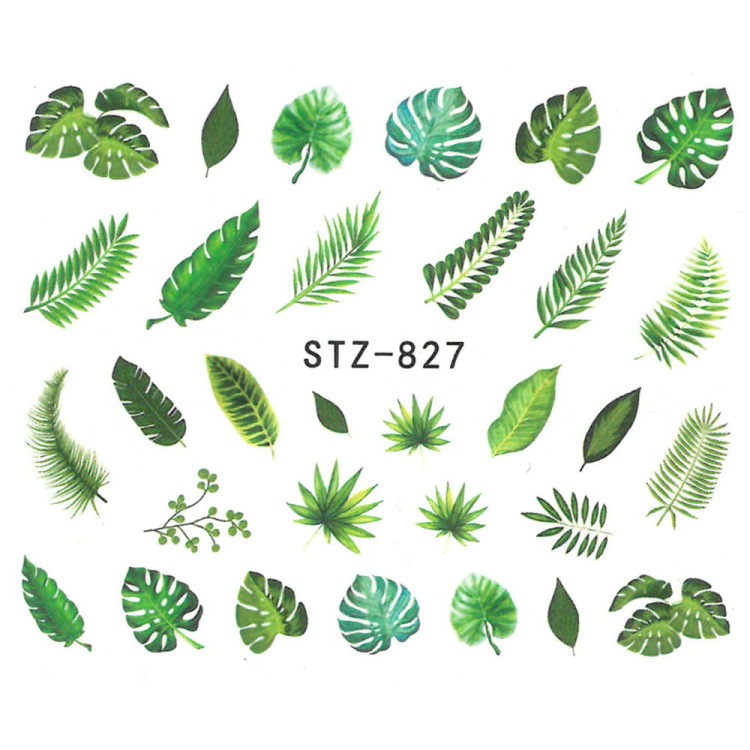 stz827.jpg