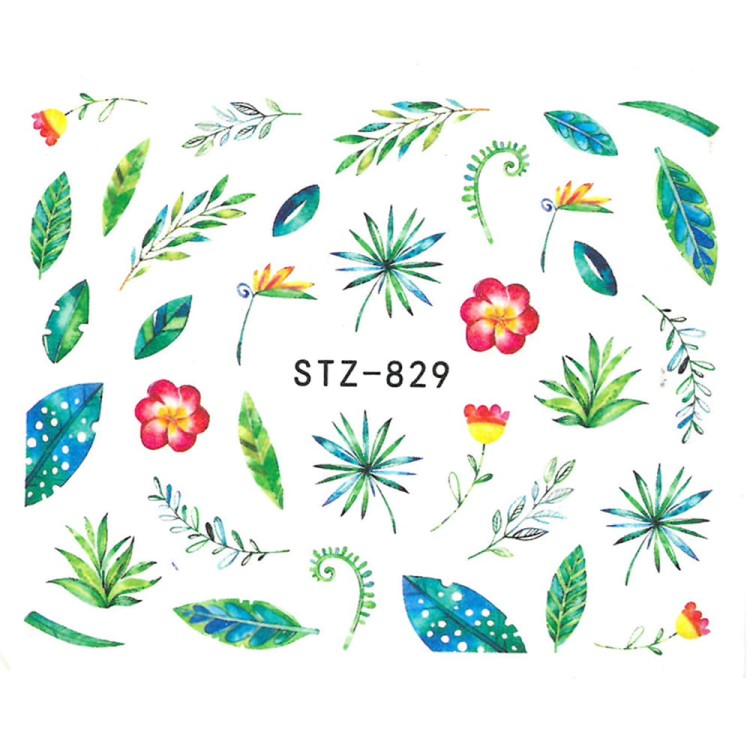 stz829.jpg