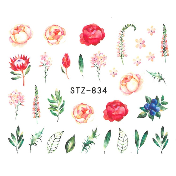 stz834.jpg