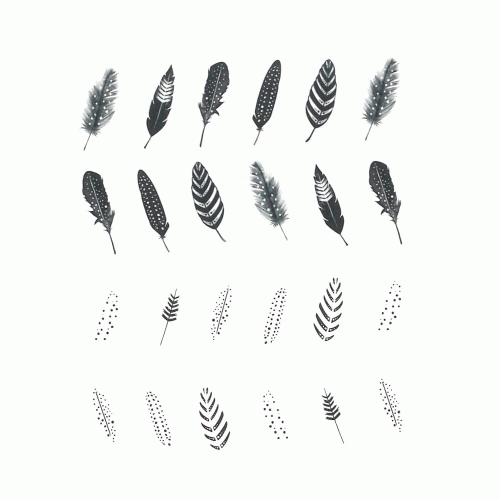 1.gif