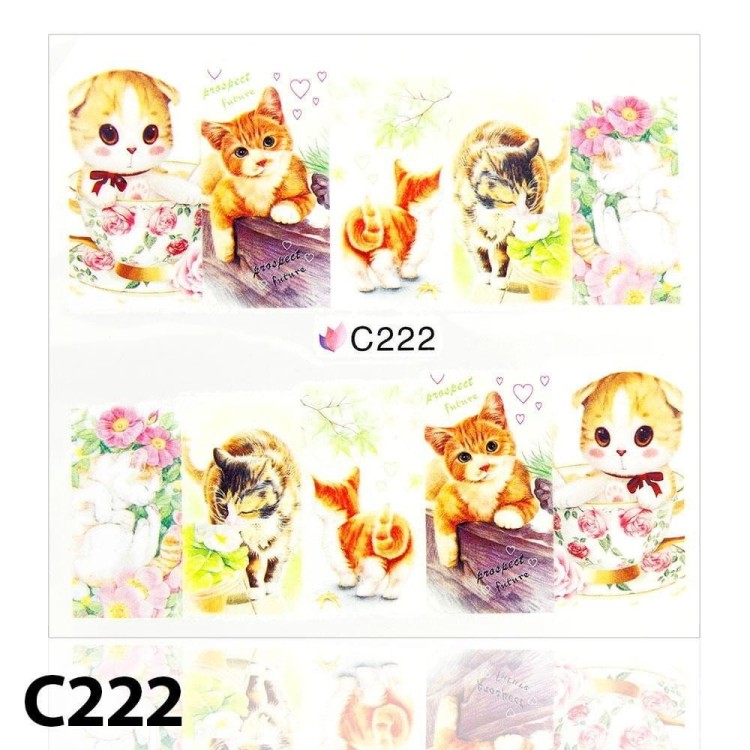 2fac8775b59eaf6328f7d792f6153402