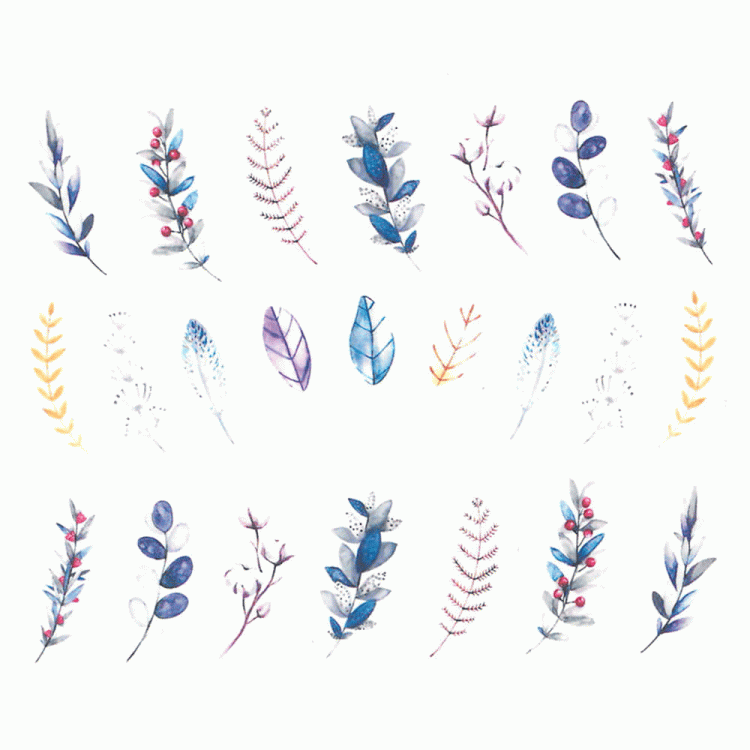 6.gif