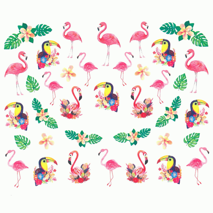 7.gif