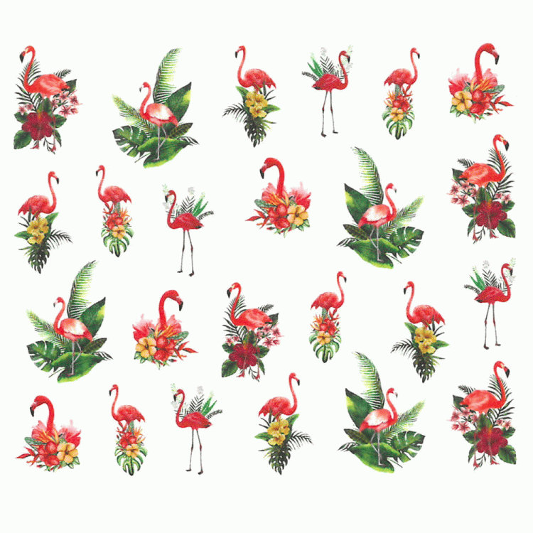 13.gif