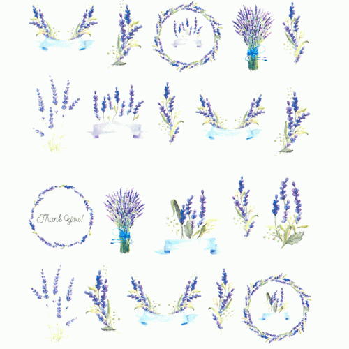 14.gif