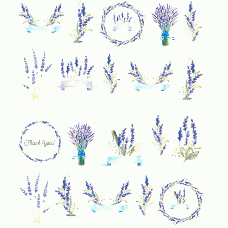 14.gif