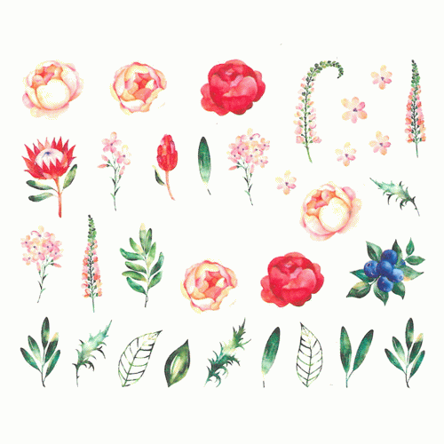15.gif