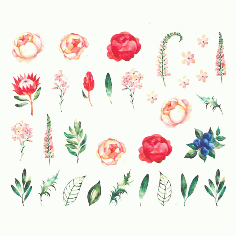 15.gif