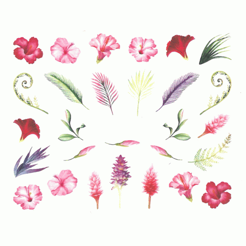 1.gif