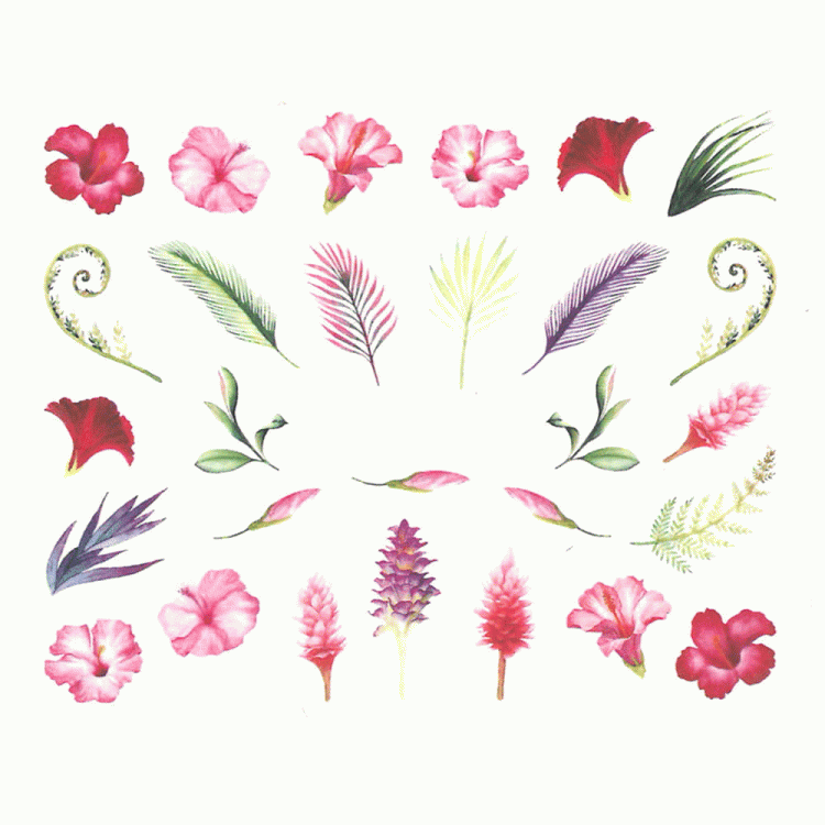 1.gif
