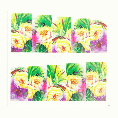 4.gif