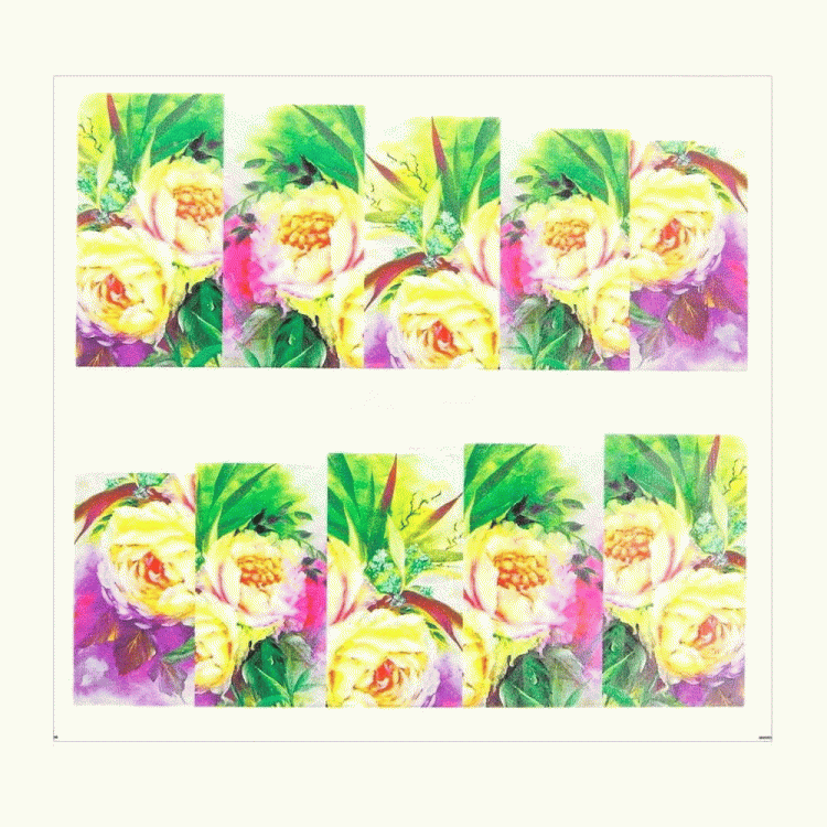 4.gif
