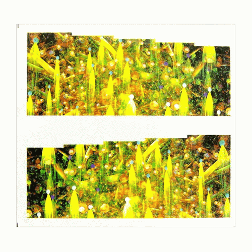 10.gif