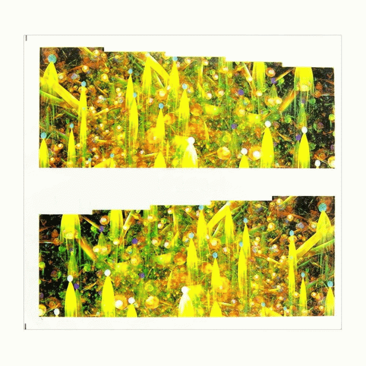 10.gif
