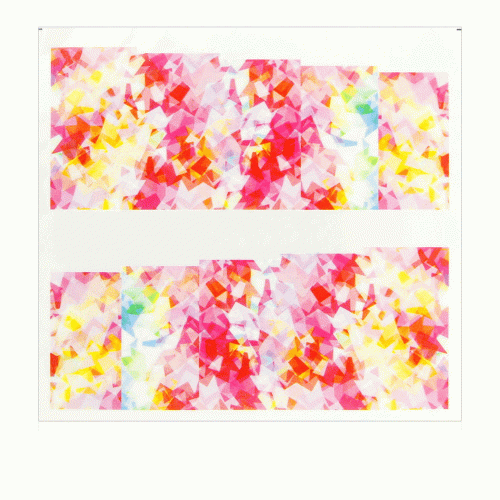 19.gif