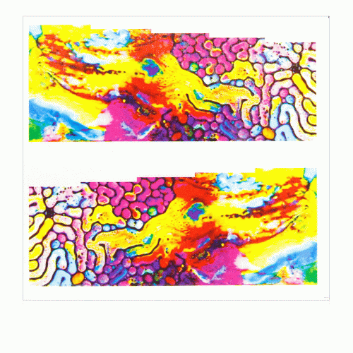 4.gif