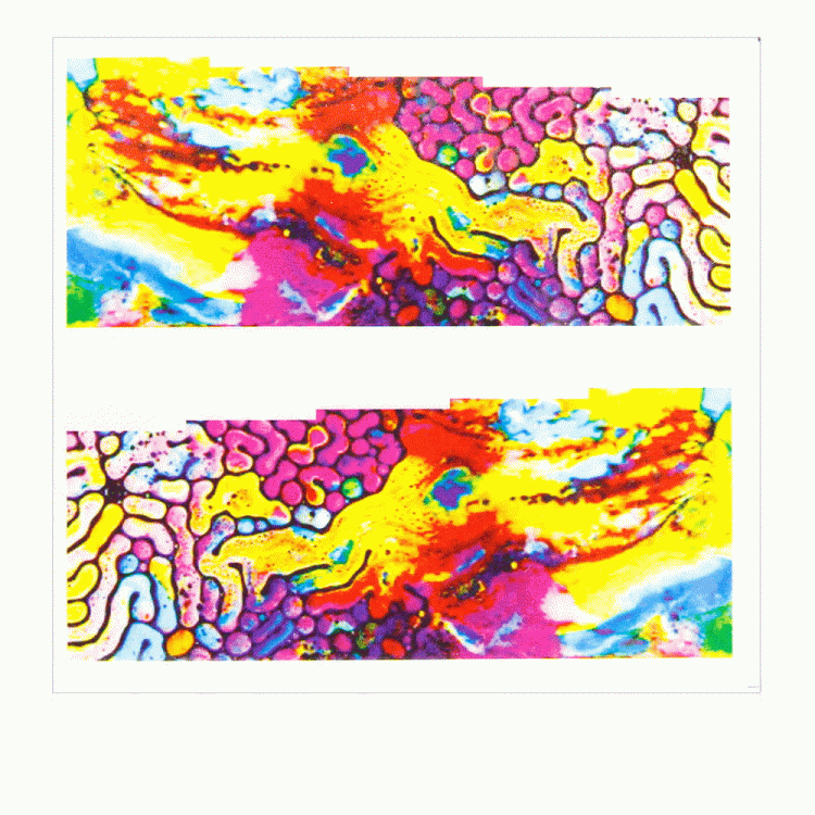 4.gif