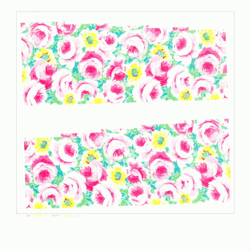 6.gif