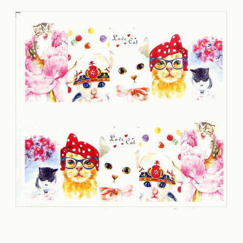 1.gif