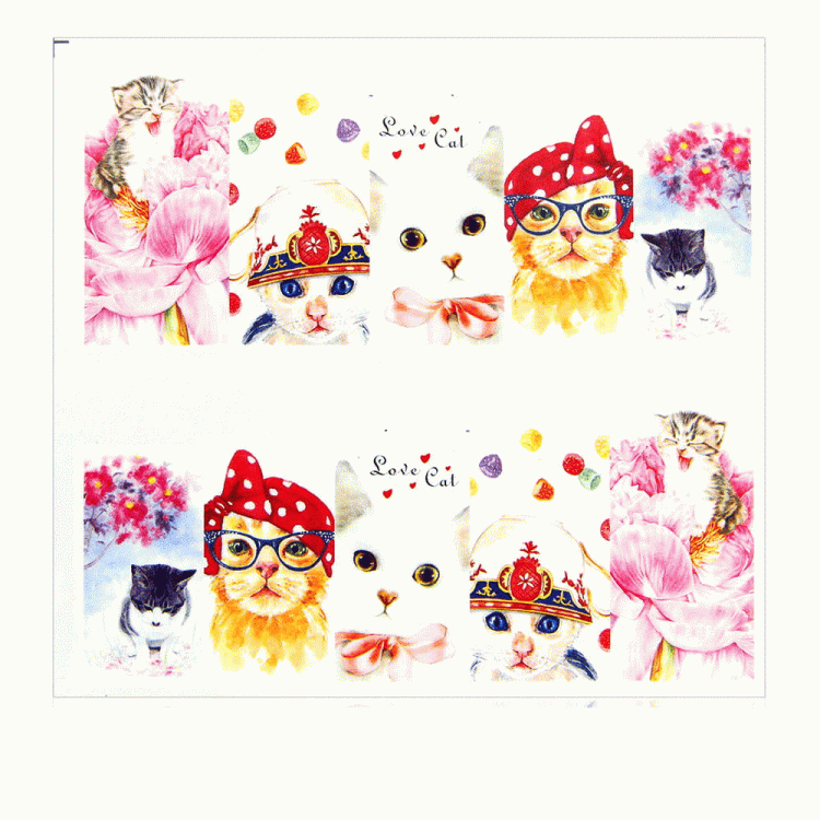 1.gif