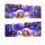 11.gif