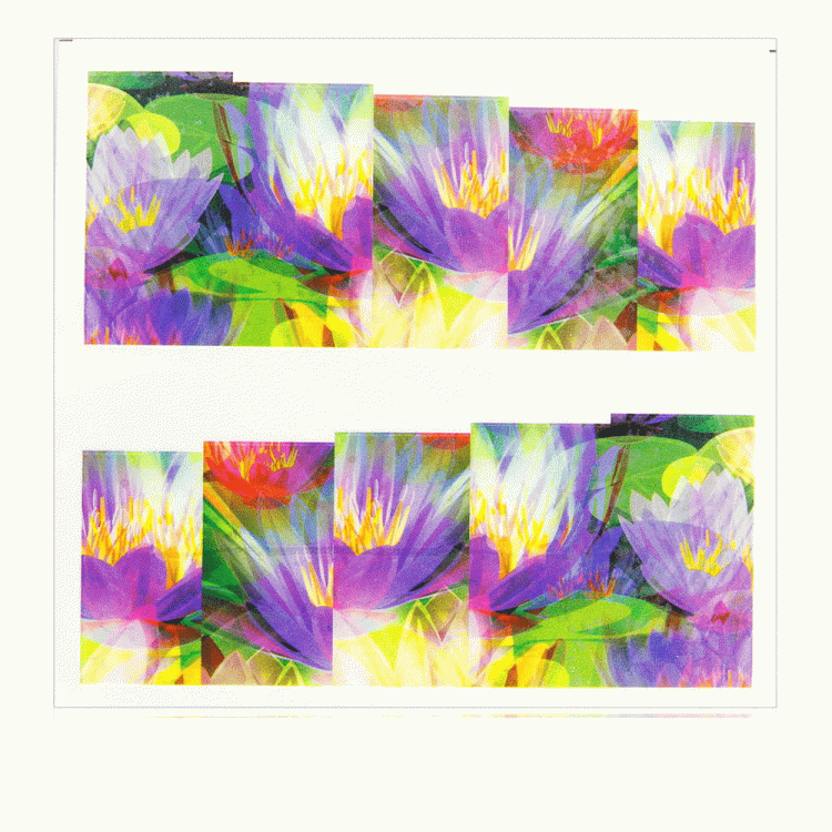13.gif