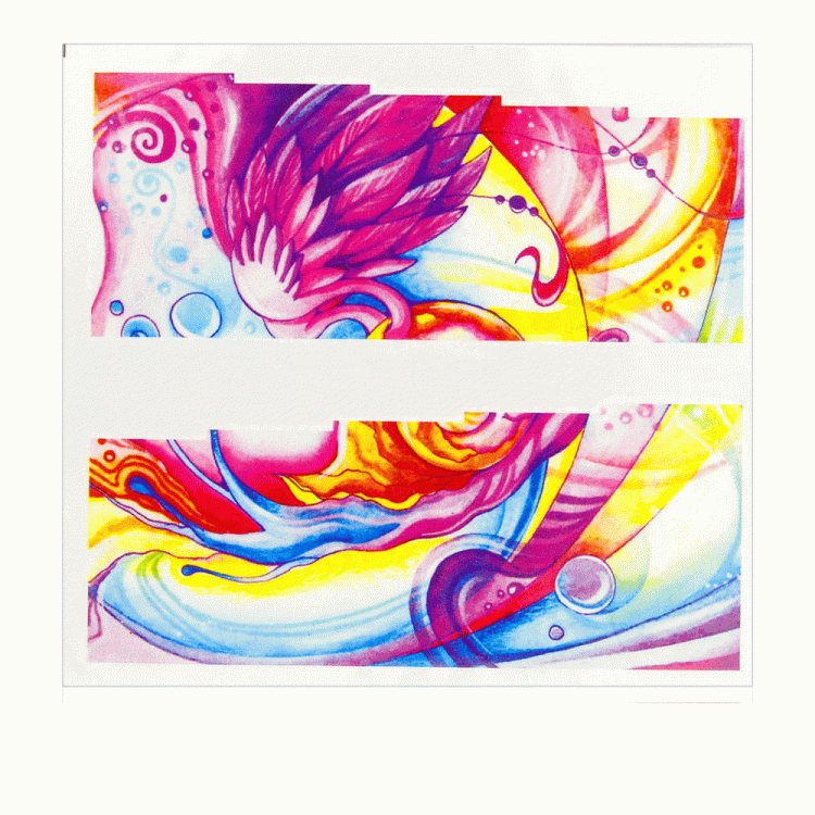 6.gif