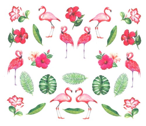 BN-1298bez numeru.jpg