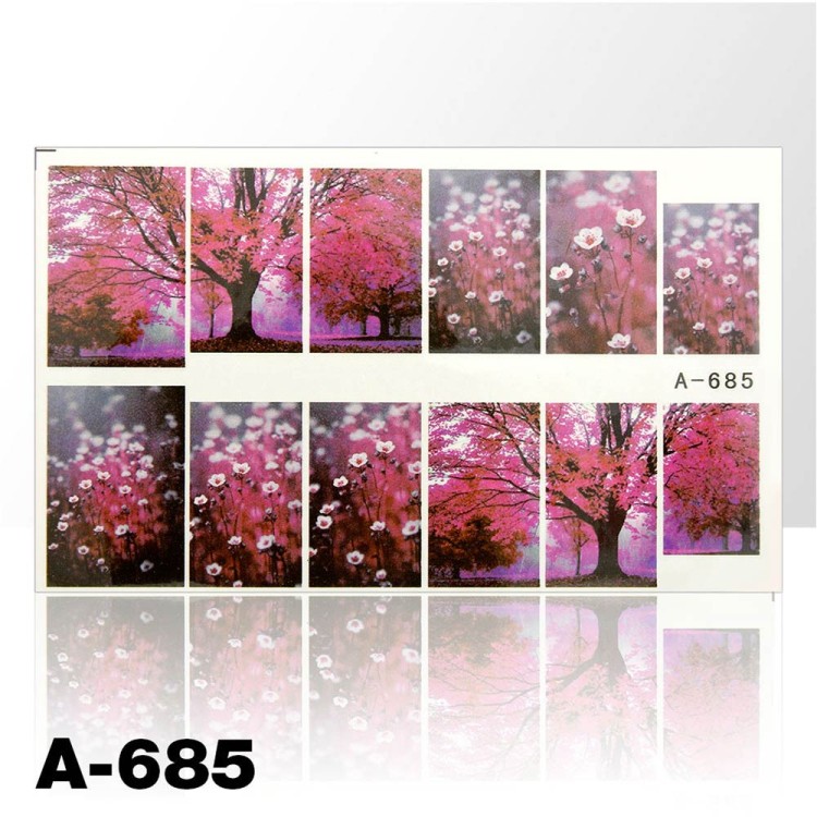 a-685.jpg