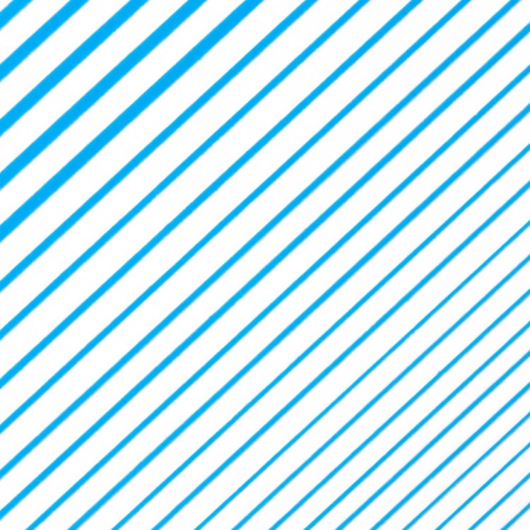 7- zoom.jpg