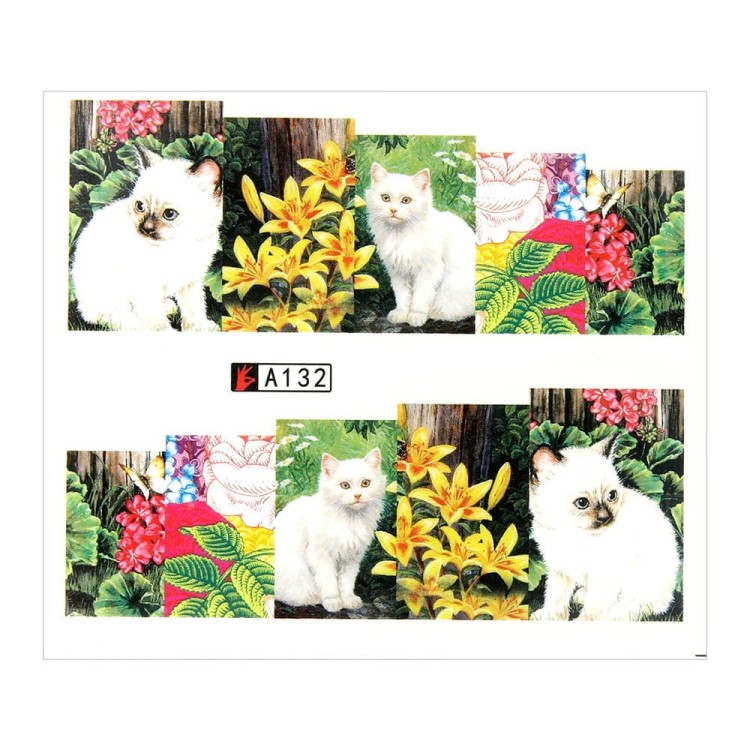 A132.jpg