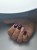 106 118.jpeg