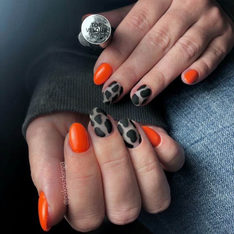 base extra + top velour + dry top NTN Premium,  Artistic Gel MollyLac Art black, kolor MollyLac 131.jpg