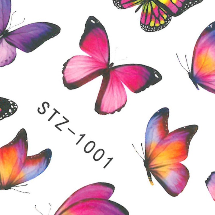 STZ-1001_2.jpg