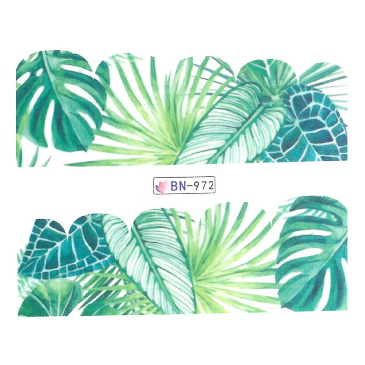 BN 972_3.jpg