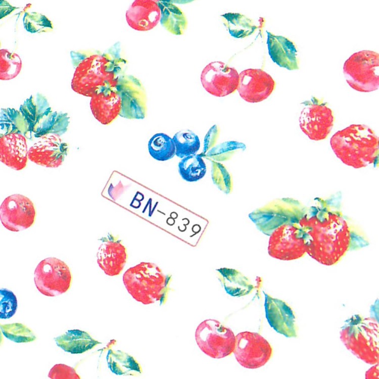 BN839_4.jpg