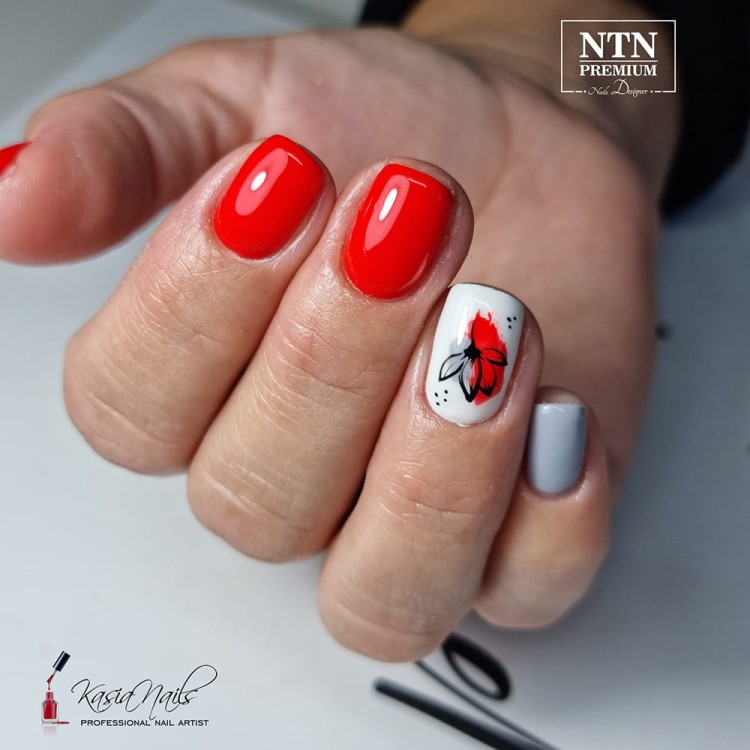 Ntn-premium-126,-Allelac-11.jpg