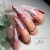 żel-jelly-nude,-23,-610,-artistic-gel-lemon,baby-blue,-amarant.jpg